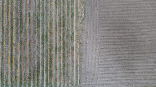 DJI_4305.JPG